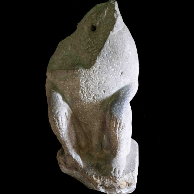 Торс бабуина Какко